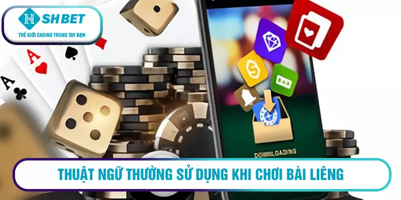 Thuật ngữ thường sử dụng khi chơi bài liêng