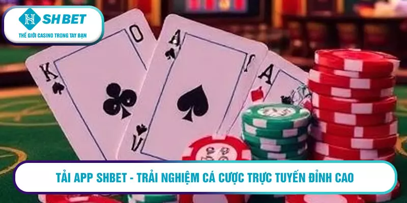 Đăng ký SHBET 88 nhanh chóng và nhận ngay ưu đãi khủng 13 Tải app SHBET - Trải nghiệm cá cược trực tuyến đỉnh cao